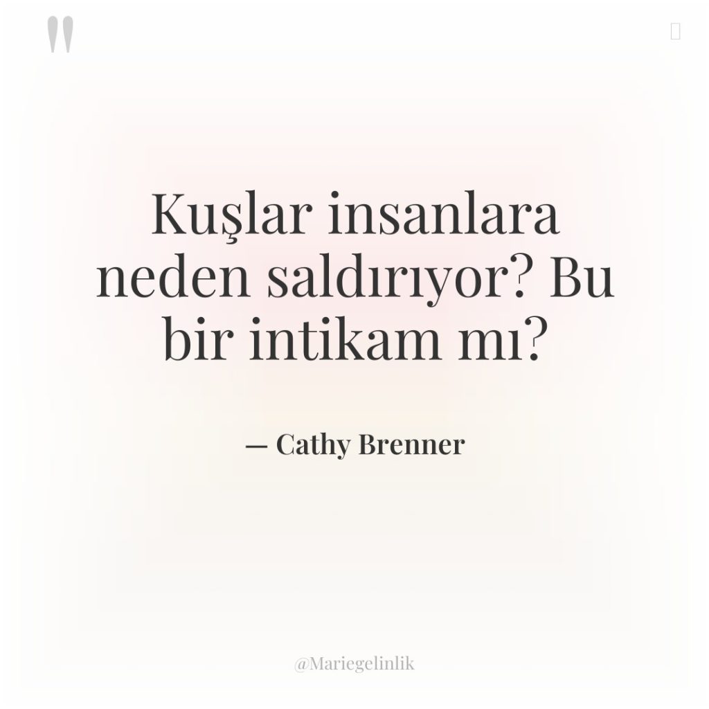 Kuşlar insanlara neden saldırıyor? Bu bir intikam mı?