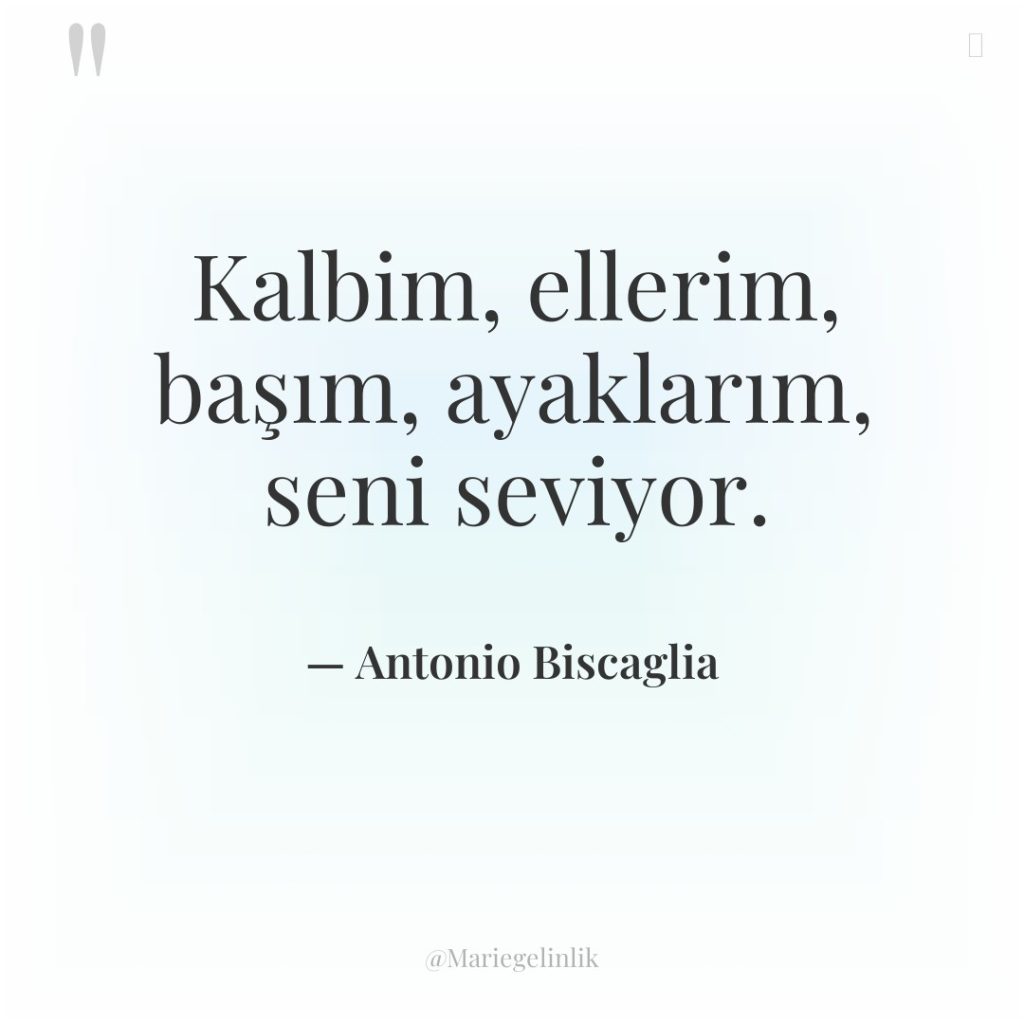 Kalbim, ellerim, başım, ayaklarım, seni seviyor.
