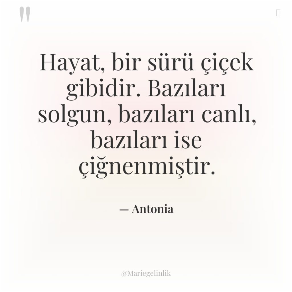 Hayat, bir sürü çiçek gibidir. Bazıları solgun, bazıları canlı, bazıları…