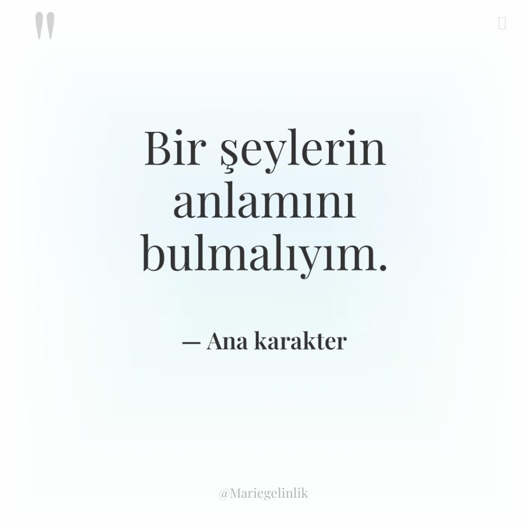 Bir şeylerin anlamını bulmalıyım.