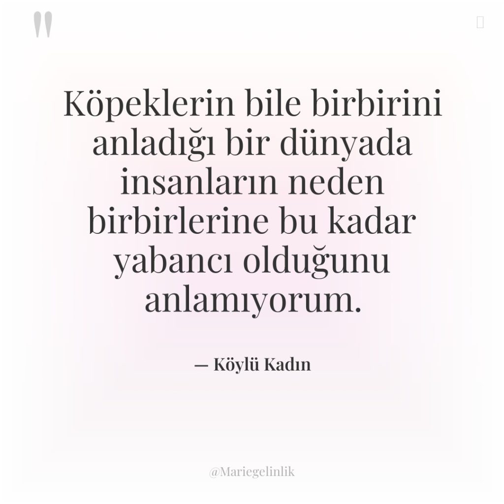 Köpeklerin bile birbirini anladığı bir dünyada insanların neden birbirlerine bu…