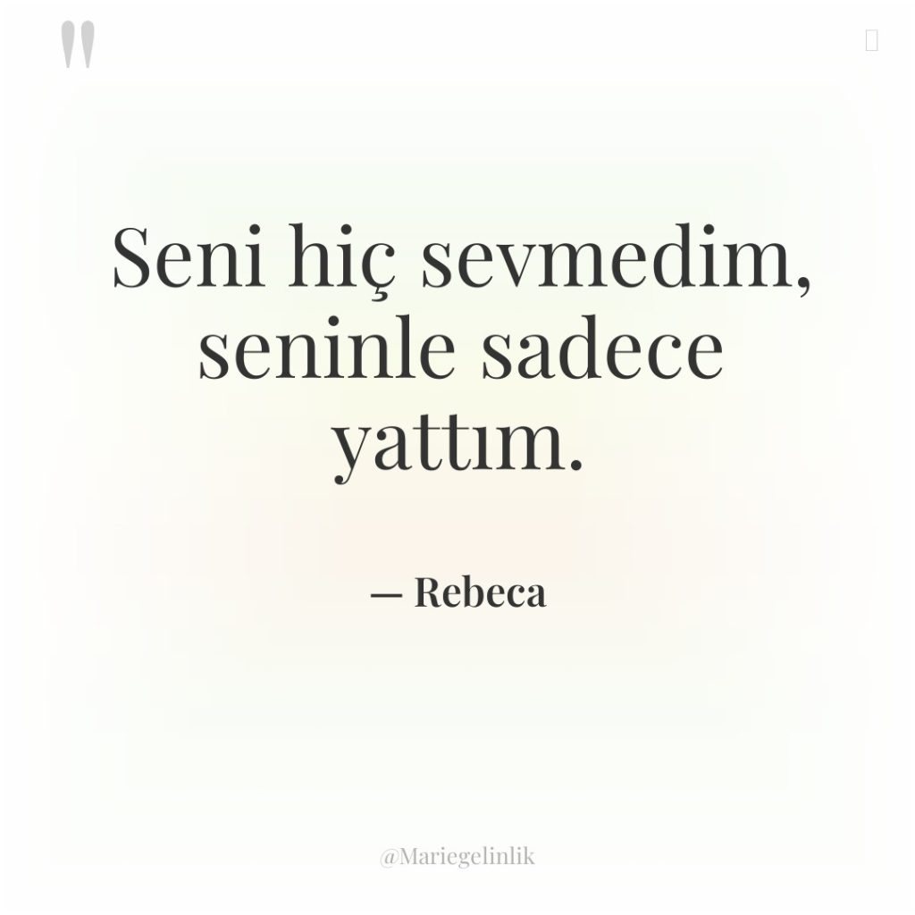 Seni hiç sevmedim, seninle sadece yattım.