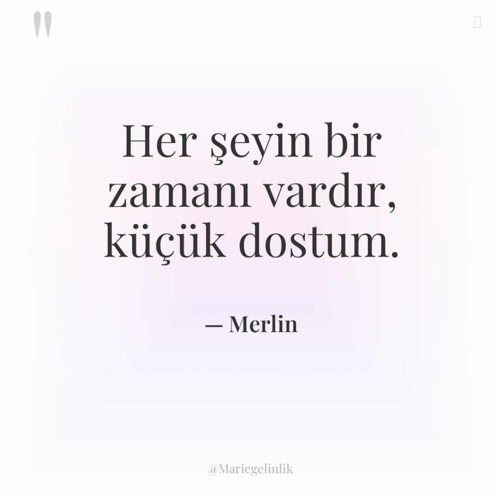 Her şeyin bir zamanı vardır, küçük dostum.