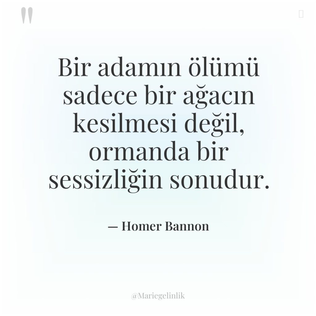 Bir adamın ölümü sadece bir ağacın kesilmesi değil, ormanda bir…