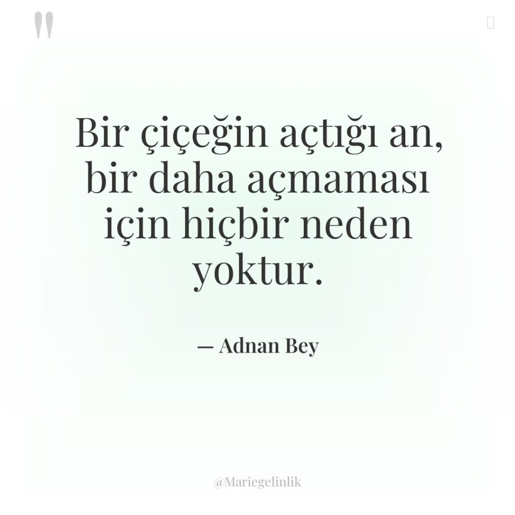 Bir çiçeğin açtığı an, bir daha açmaması için hiçbir neden…