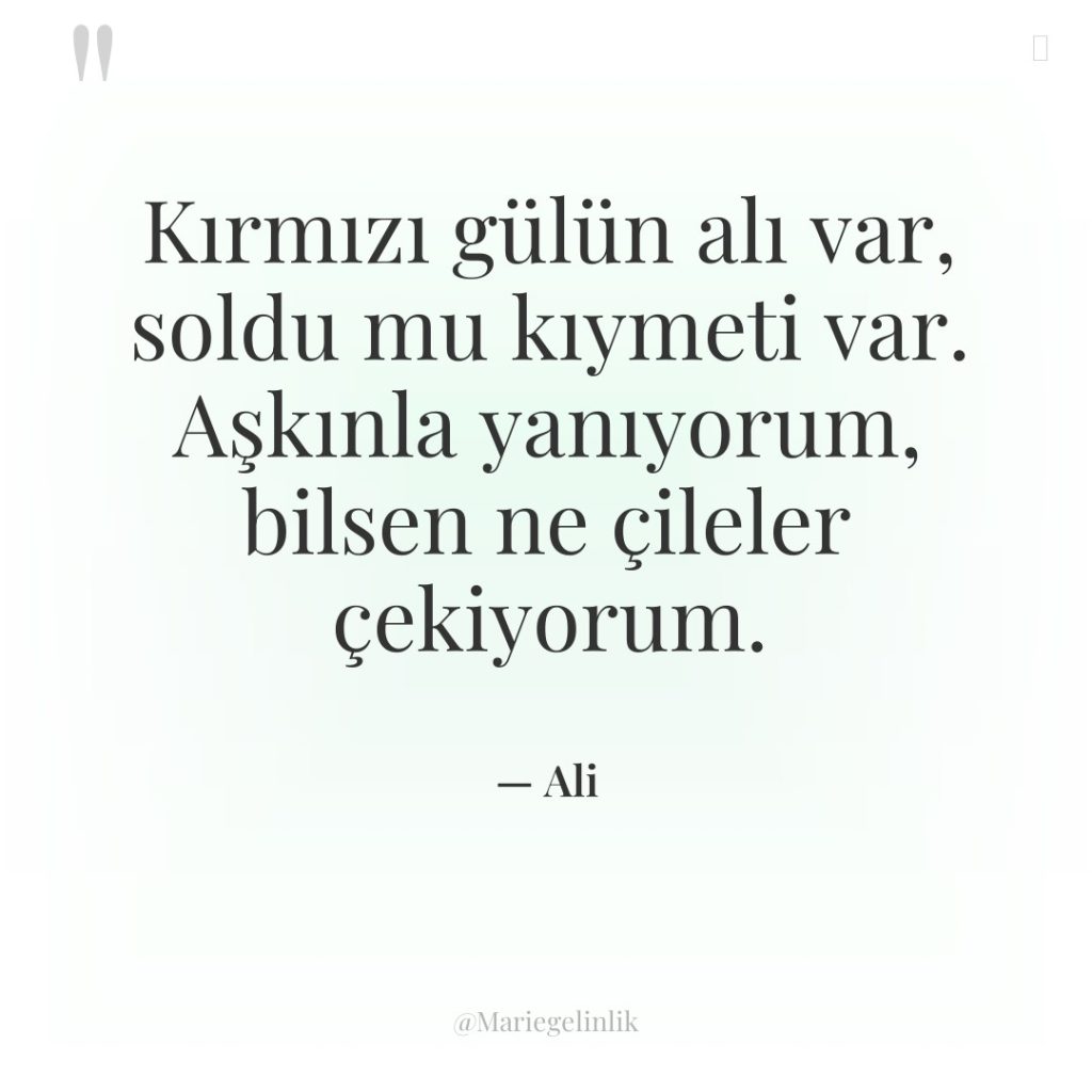 Kırmızı gülün alı var, soldu mu kıymeti var. Aşkınla yanıyorum,…