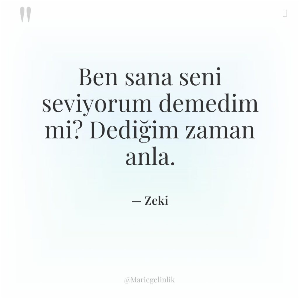 Ben sana seni seviyorum demedim mi? Dediğim zaman anla.