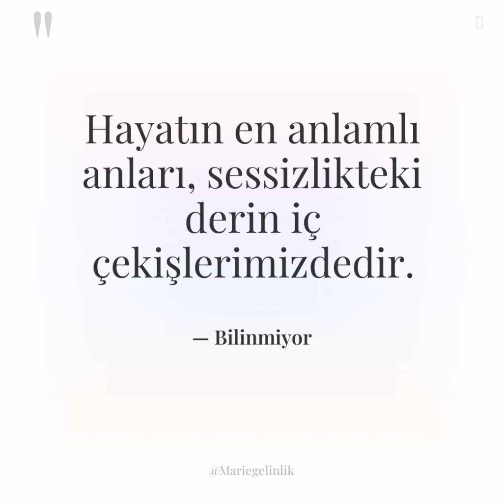 Hayatın en anlamlı anları, sessizlikteki derin iç çekişlerimizdedir.