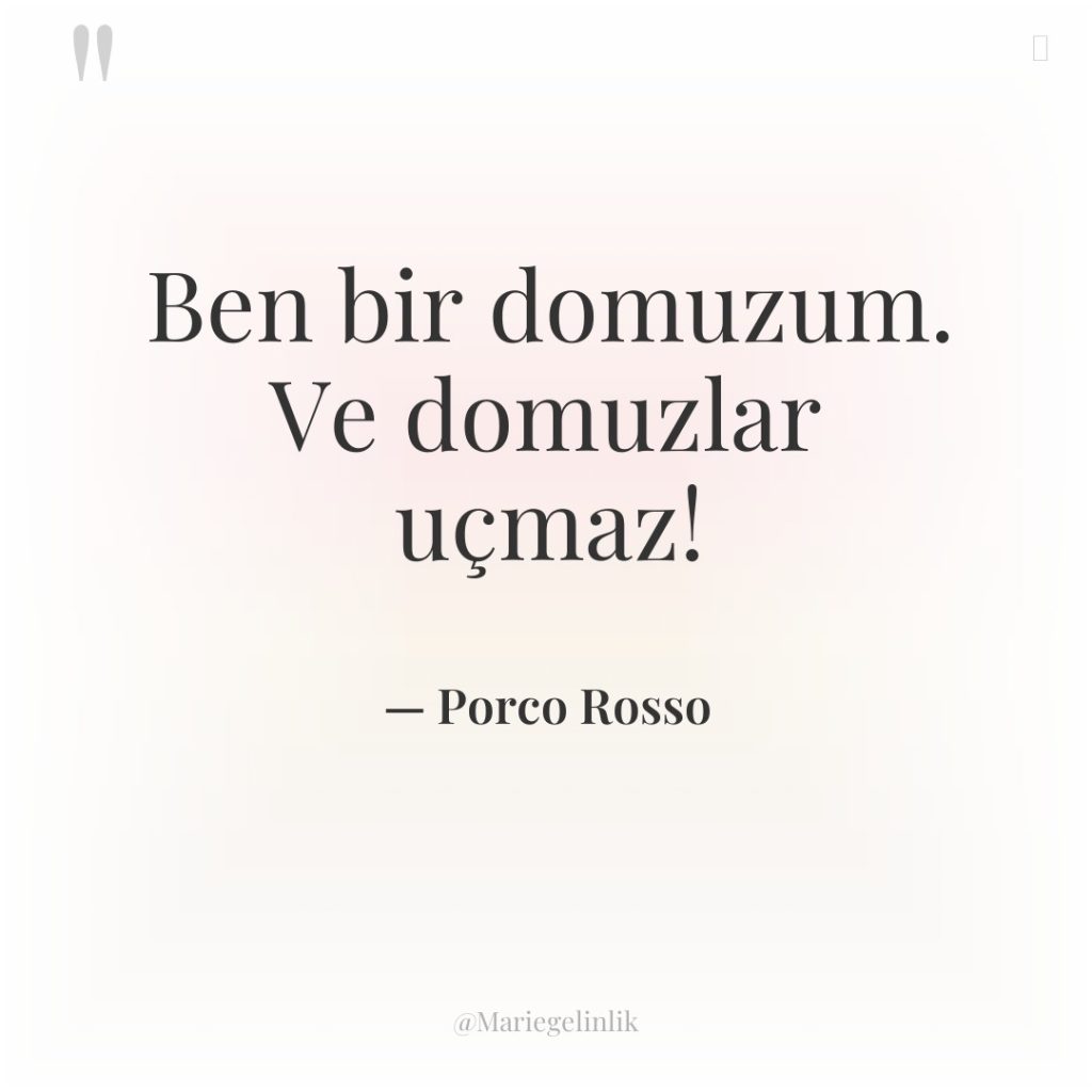 Ben bir domuzum. Ve domuzlar uçmaz!