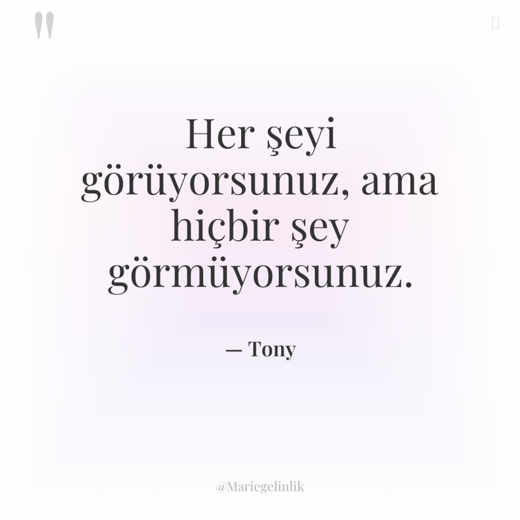 Her şeyi görüyorsunuz, ama hiçbir şey görmüyorsunuz.