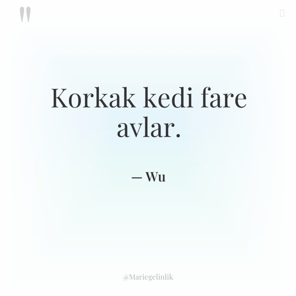 Korkak kedi fare avlar.