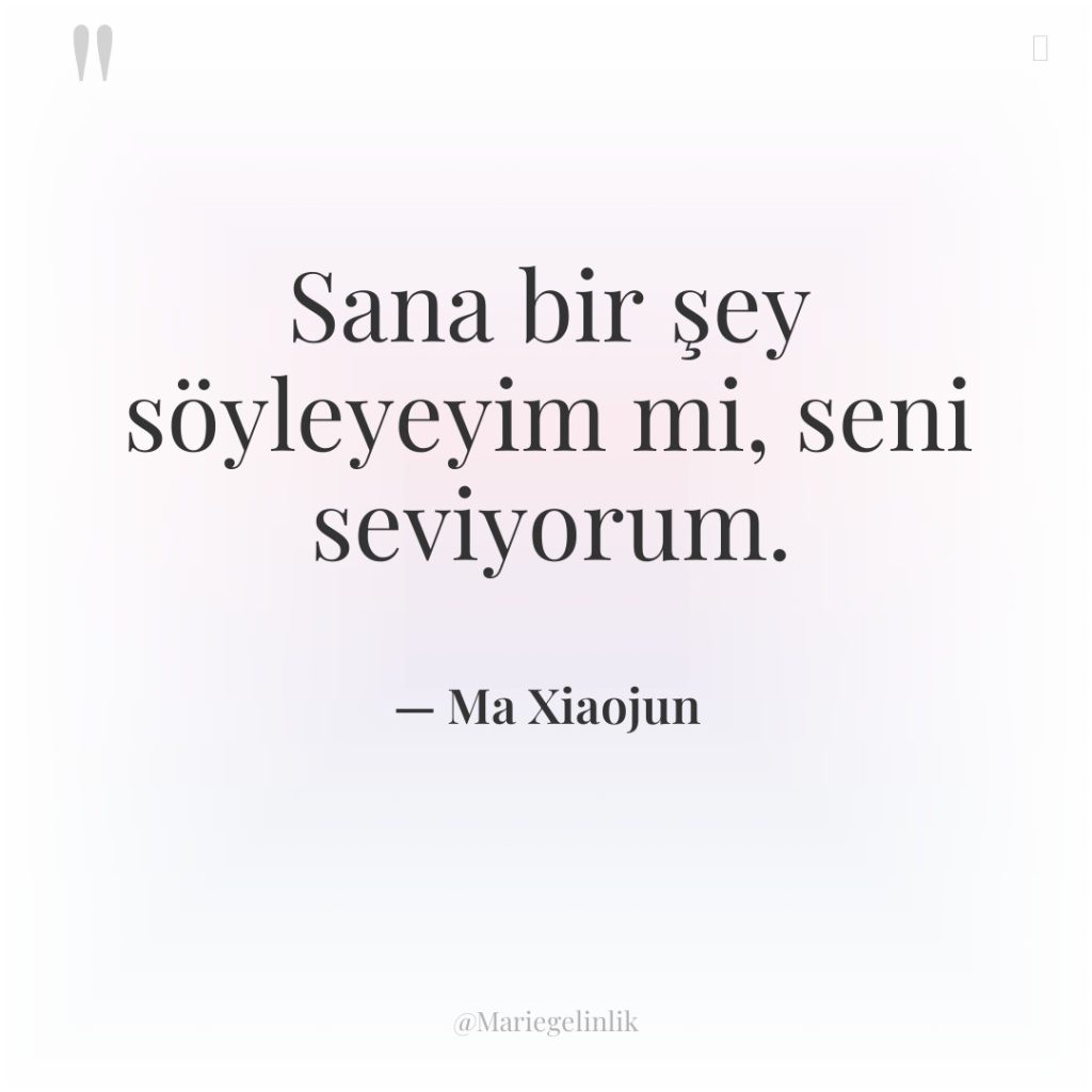 Sana bir şey söyleyeyim mi, seni seviyorum.