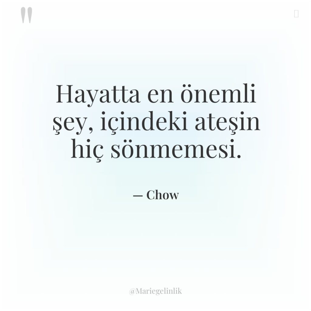 Hayatta en önemli şey, içindeki ateşin hiç sönmemesi.