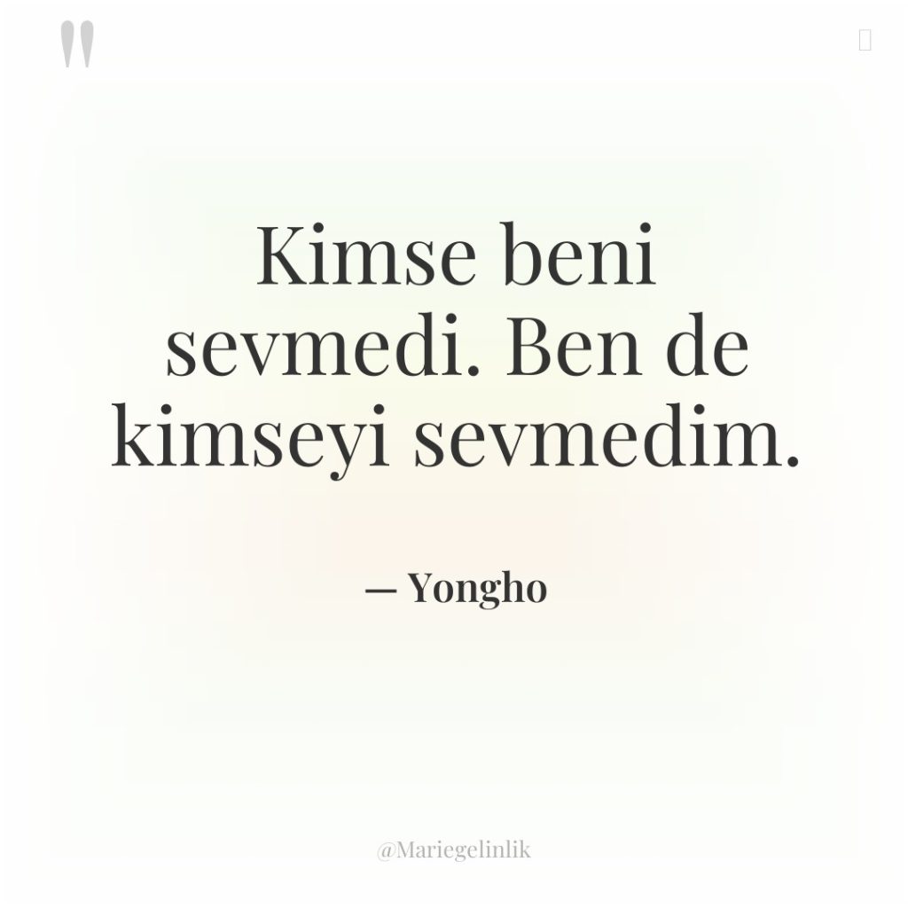 Kimse beni sevmedi. Ben de kimseyi sevmedim.