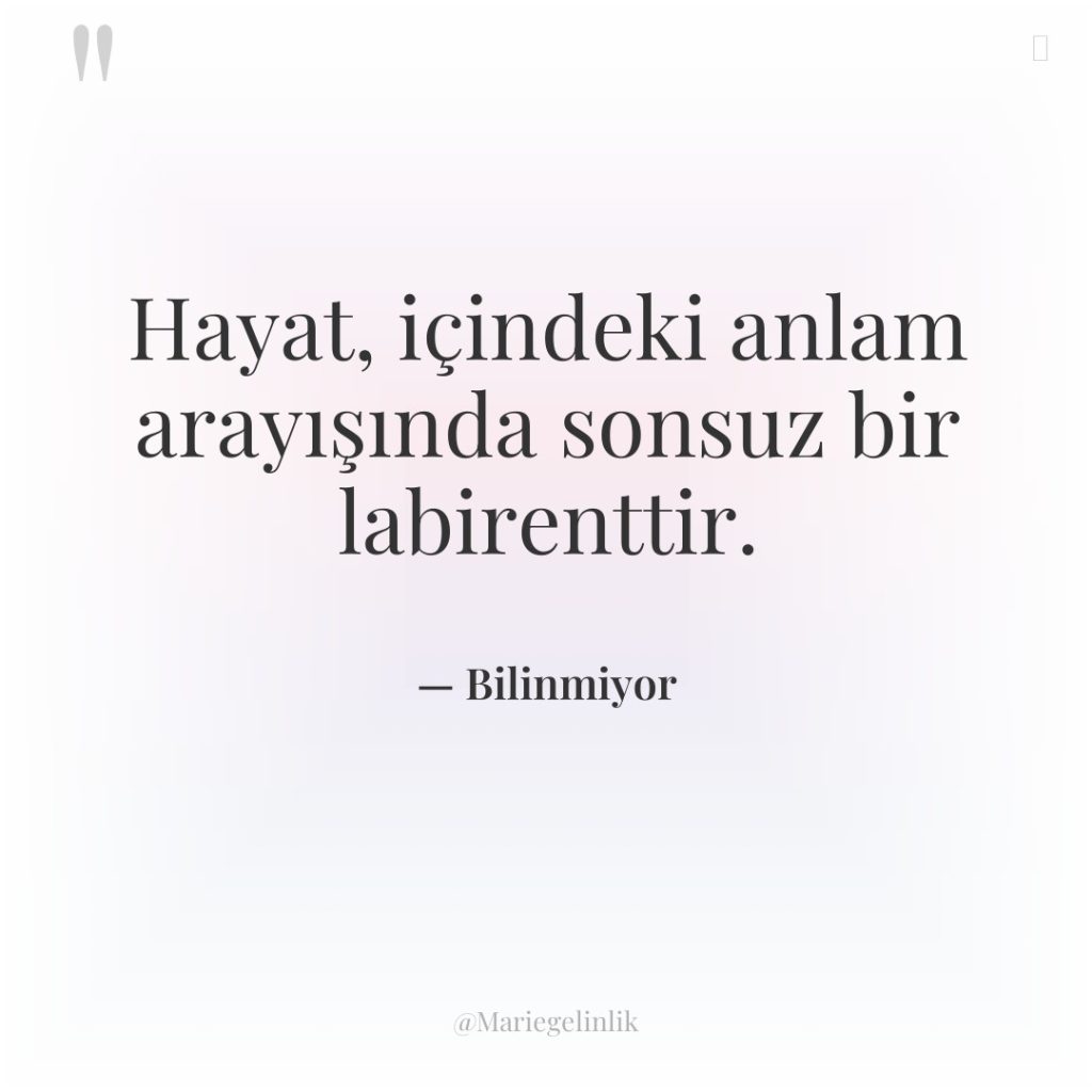 Hayat, içindeki anlam arayışında sonsuz bir labirenttir.