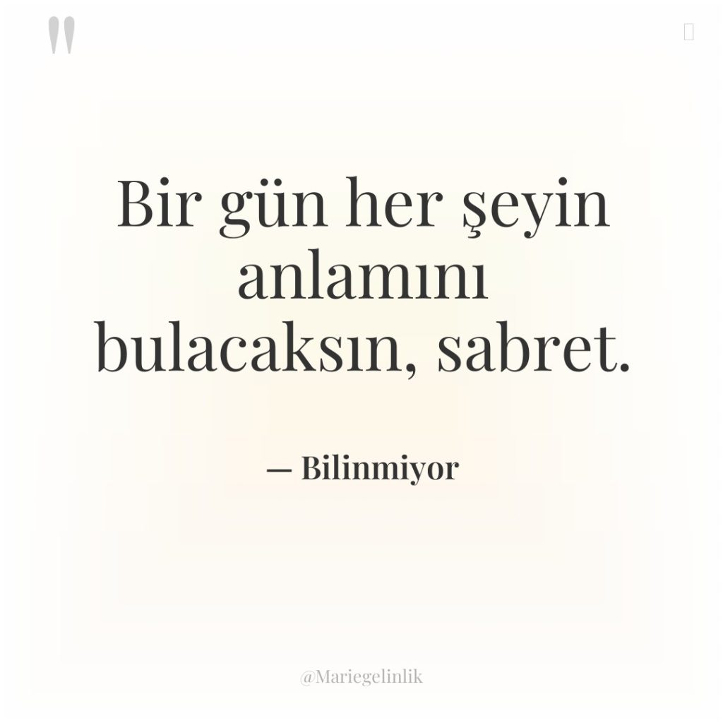 Bir gün her şeyin anlamını bulacaksın, sabret.