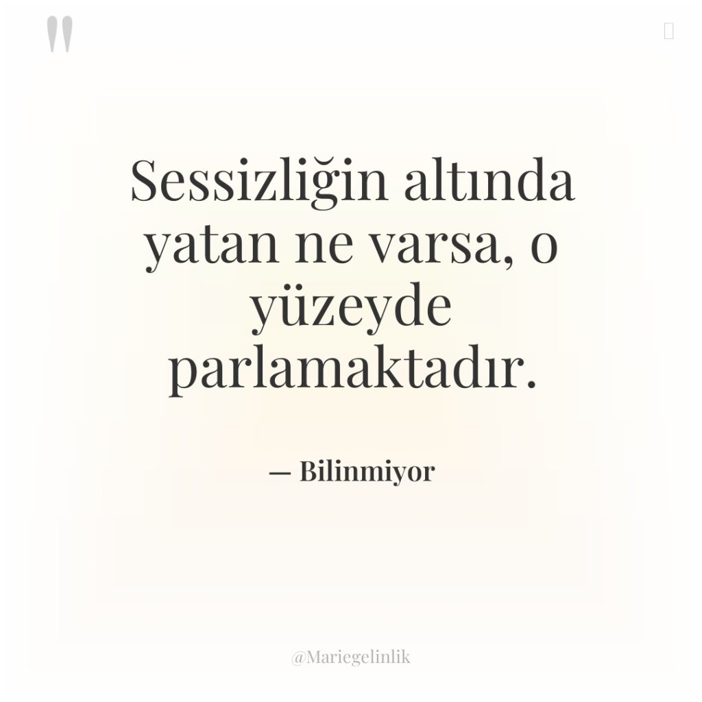 Sessizliğin altında yatan ne varsa, o yüzeyde parlamaktadır.