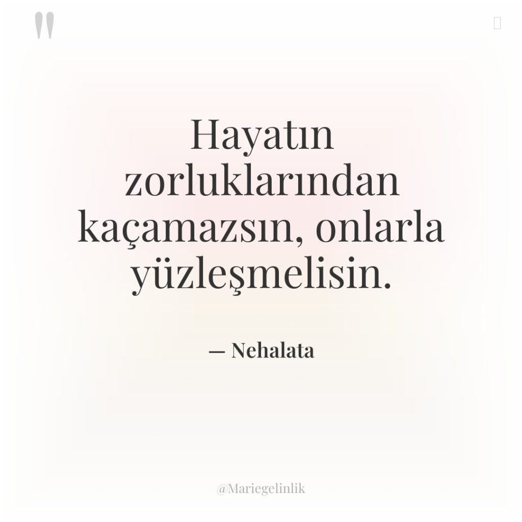 Hayatın zorluklarından kaçamazsın, onlarla yüzleşmelisin.