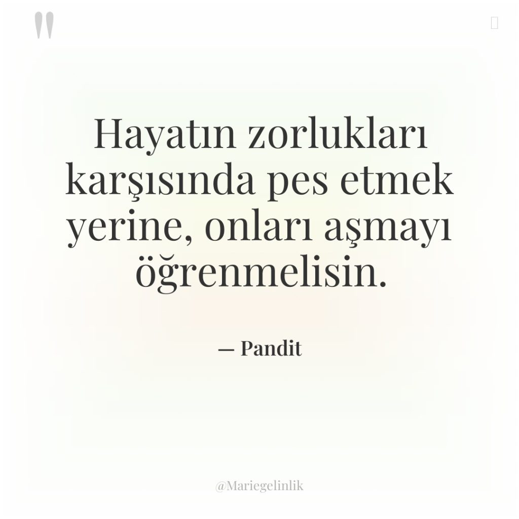Hayatın zorlukları karşısında pes etmek yerine, onları aşmayı öğrenmelisin.