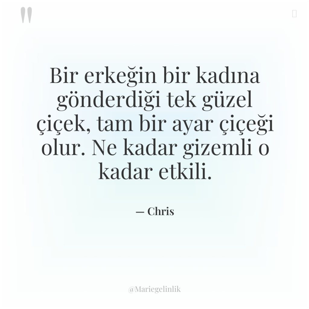 Bir erkeğin bir kadına gönderdiği tek güzel çiçek, tam bir…