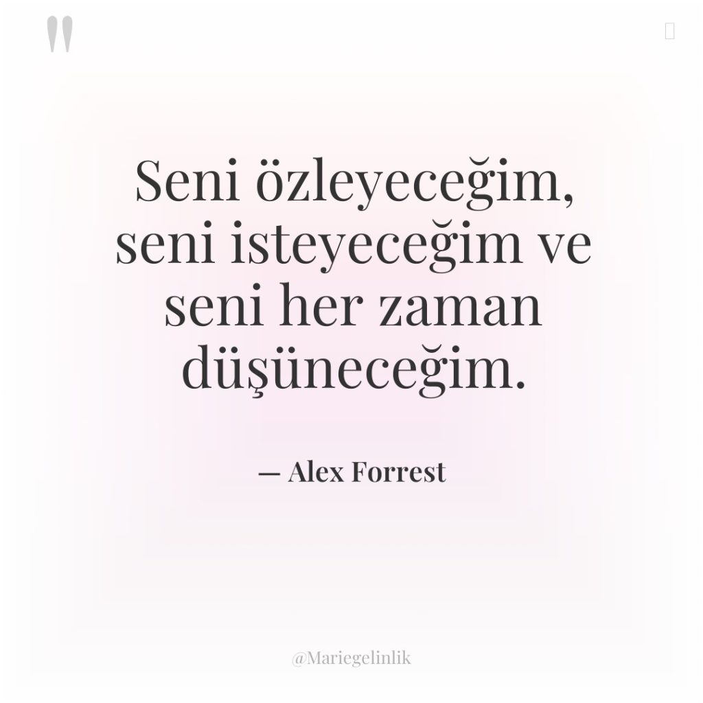 Seni özleyeceğim, seni isteyeceğim ve seni her zaman düşüneceğim.