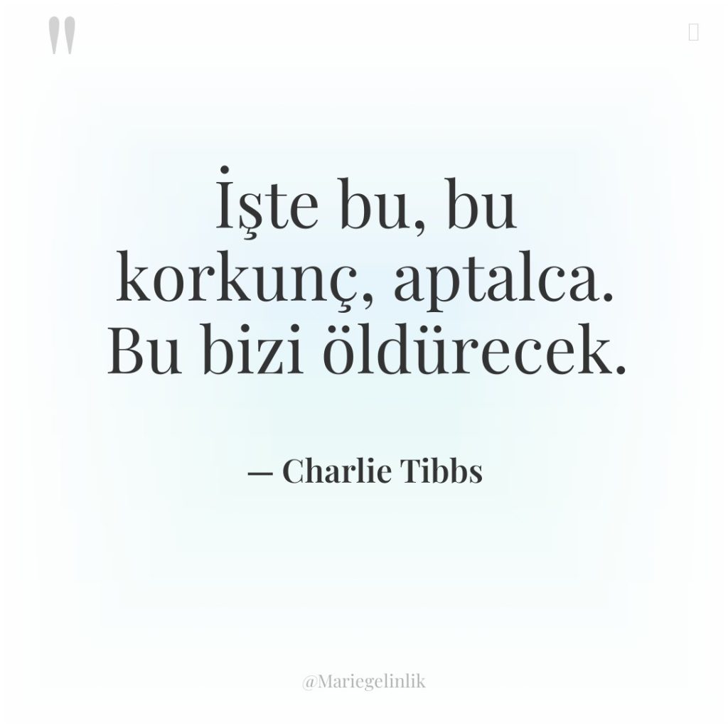 İşte bu, bu korkunç, aptalca. Bu bizi öldürecek.