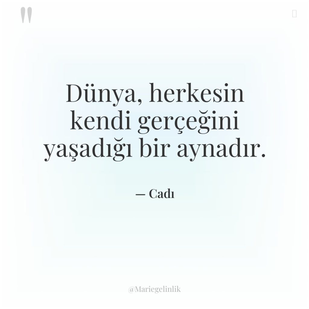 Dünya, herkesin kendi gerçeğini yaşadığı bir aynadır.