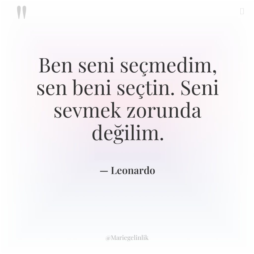 Ben seni seçmedim, sen beni seçtin. Seni sevmek zorunda değilim.