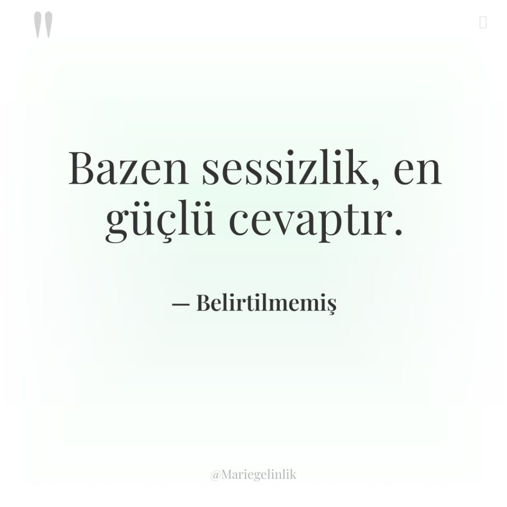 Bazen sessizlik, en güçlü cevaptır.