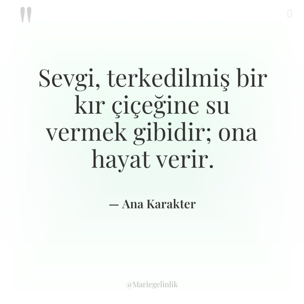 Sevgi, terkedilmiş bir kır çiçeğine su vermek gibidir; ona hayat…