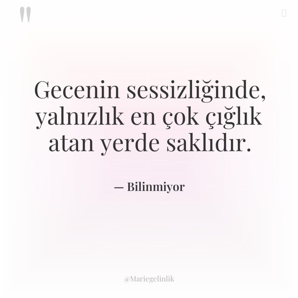 Gecenin sessizliğinde, yalnızlık en çok çığlık atan yerde saklıdır.