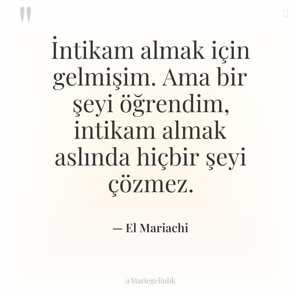 İntikam almak için gelmişim. Ama bir şeyi öğrendim, intikam almak…