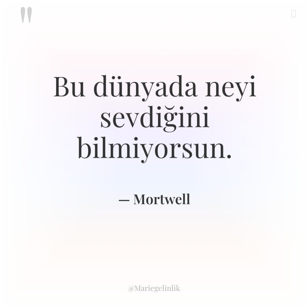 Bu dünyada neyi sevdiğini bilmiyorsun.