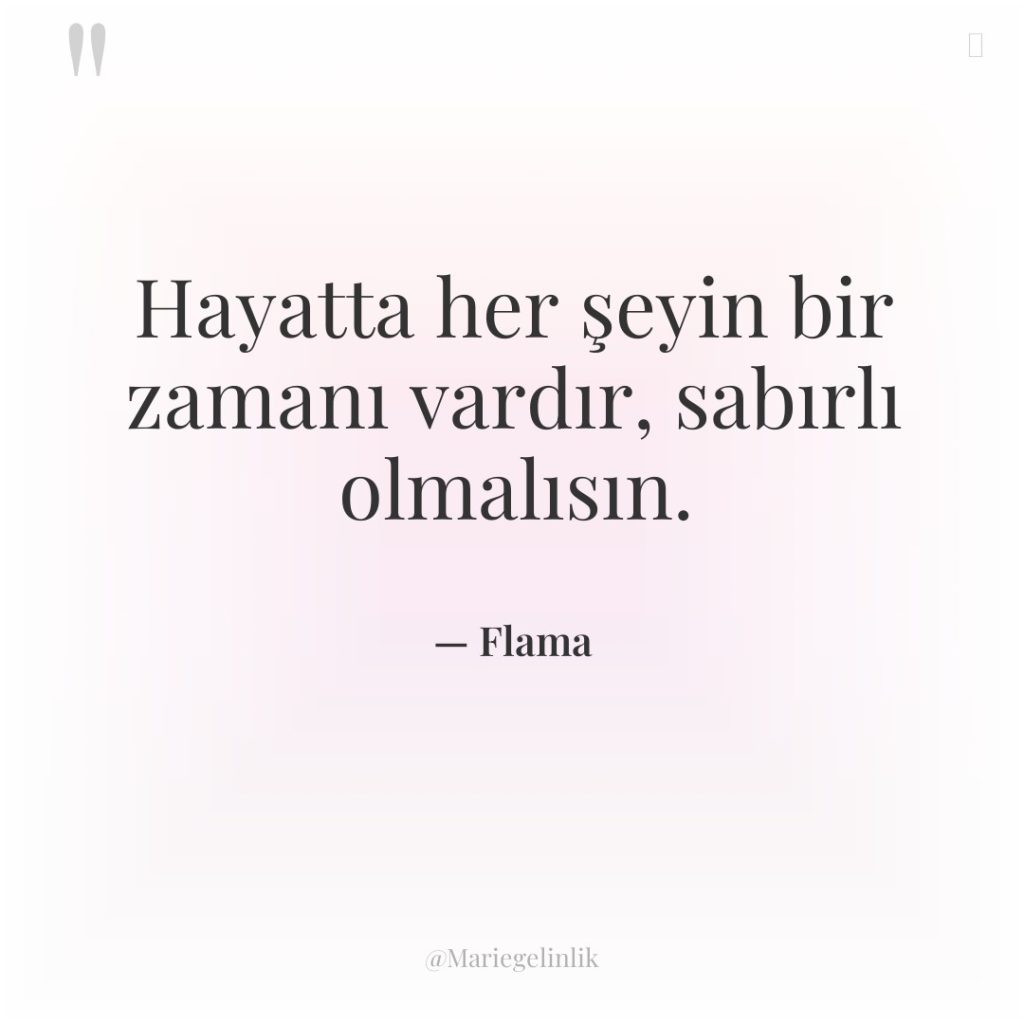 Hayatta her şeyin bir zamanı vardır, sabırlı olmalısın.