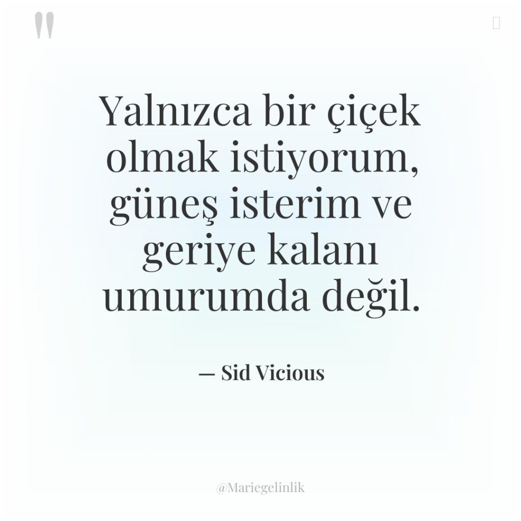 Yalnızca bir çiçek olmak istiyorum, güneş isterim ve geriye kalanı…