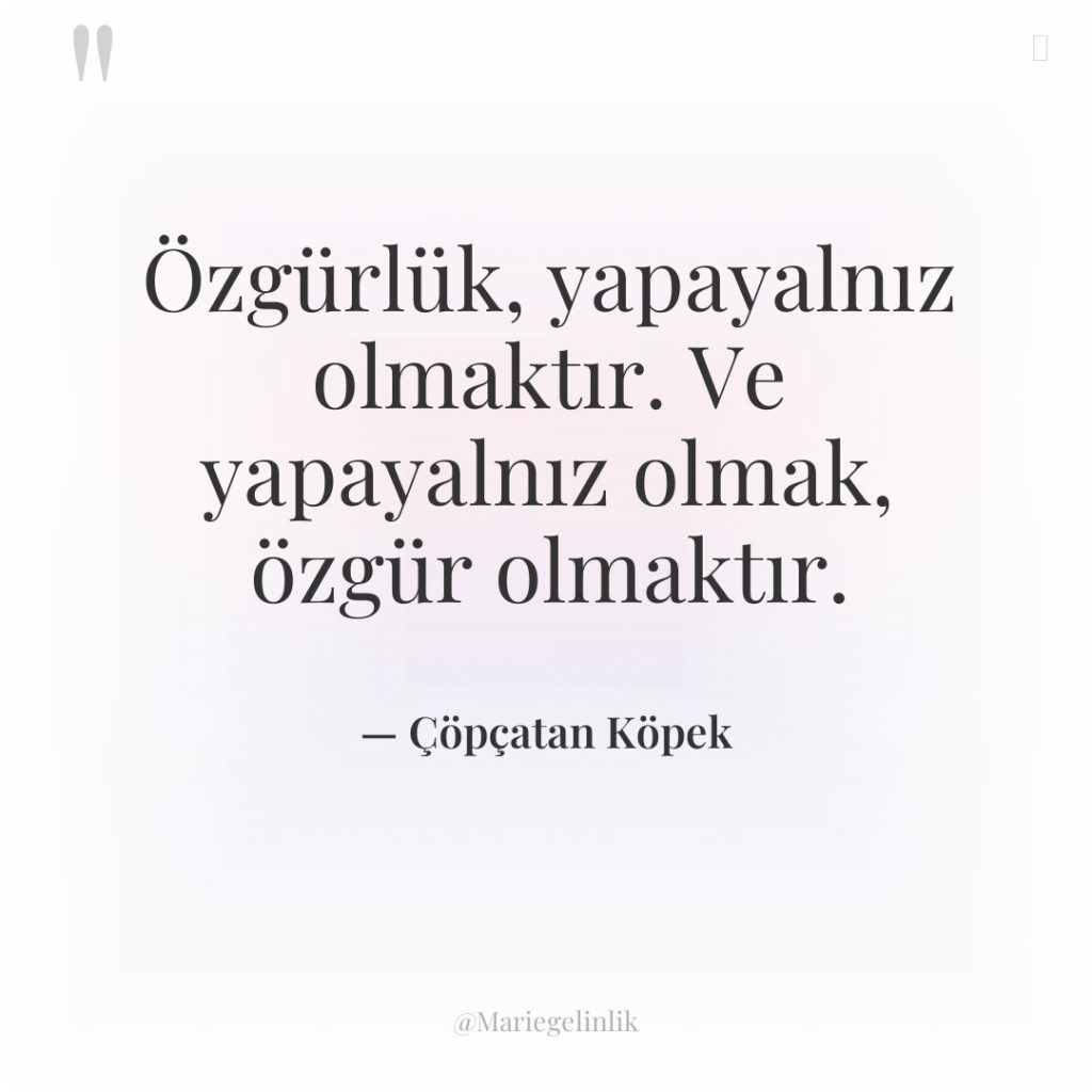 Özgürlük, yapayalnız olmaktır. Ve yapayalnız olmak, özgür olmaktır.