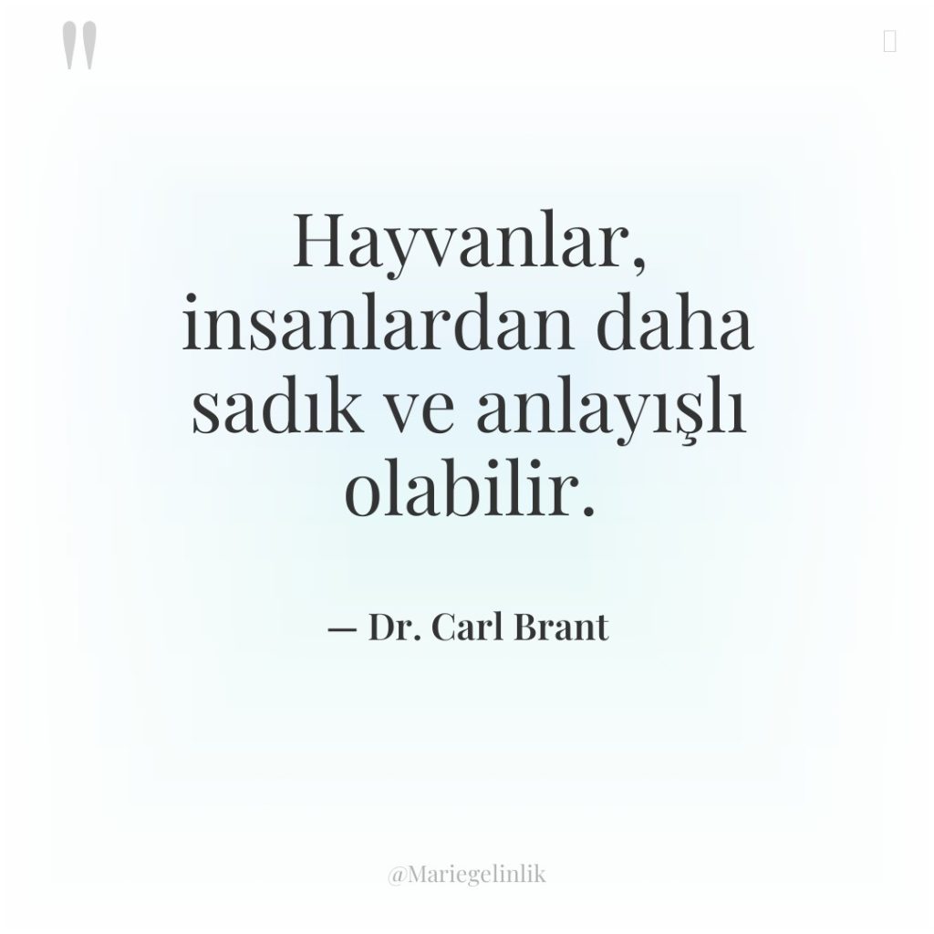 Hayvanlar, insanlardan daha sadık ve anlayışlı olabilir.