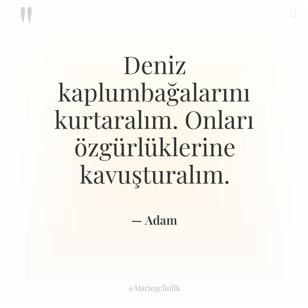 Deniz kaplumbağalarını kurtaralım. Onları özgürlüklerine kavuşturalım.