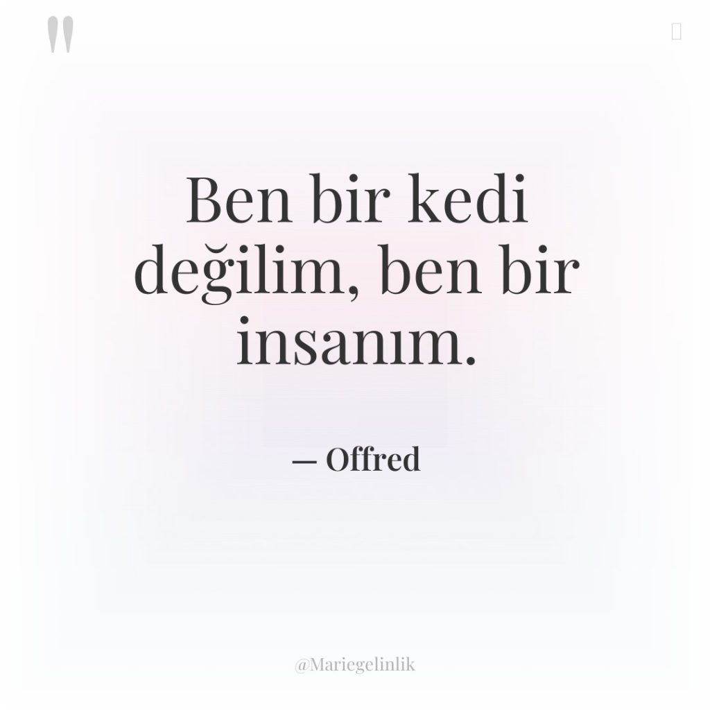 Ben bir kedi değilim, ben bir insanım.