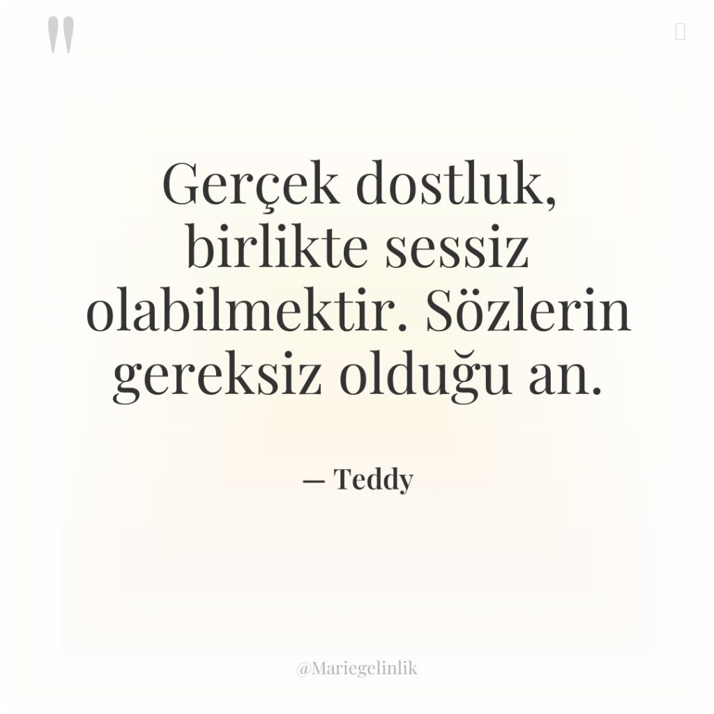 Gerçek dostluk, birlikte sessiz olabilmektir. Sözlerin gereksiz olduğu an.