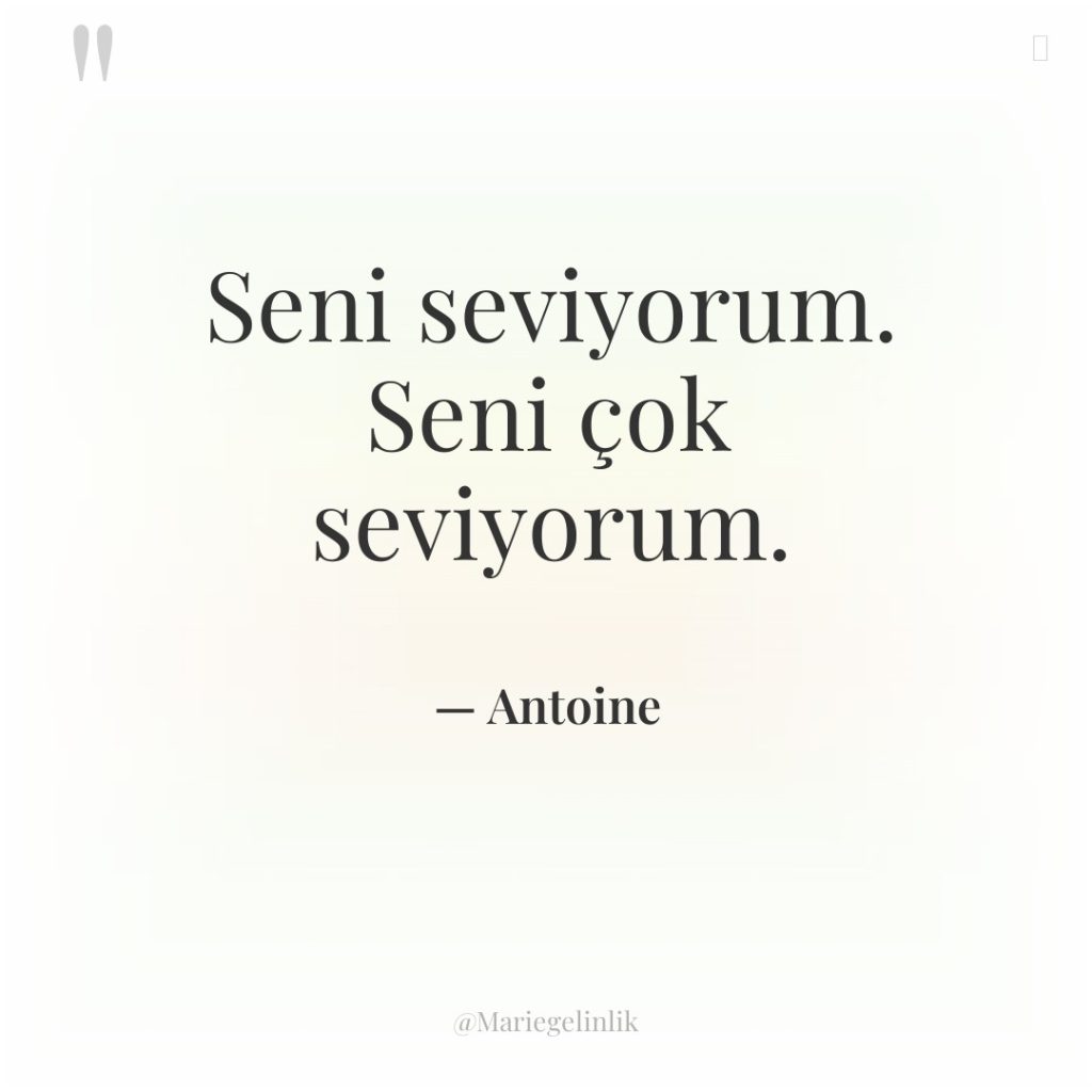 Seni seviyorum. Seni çok seviyorum.