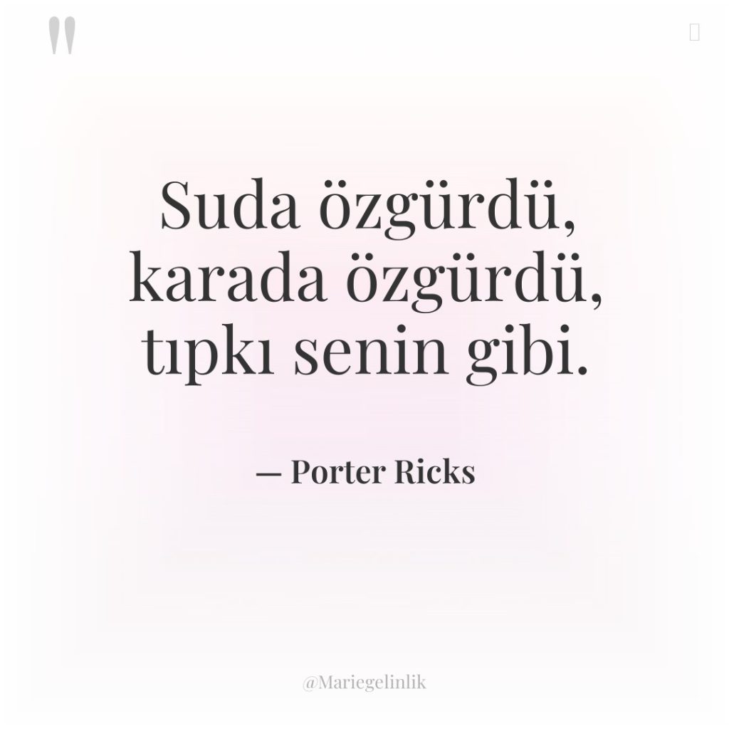 Suda özgürdü, karada özgürdü, tıpkı senin gibi.