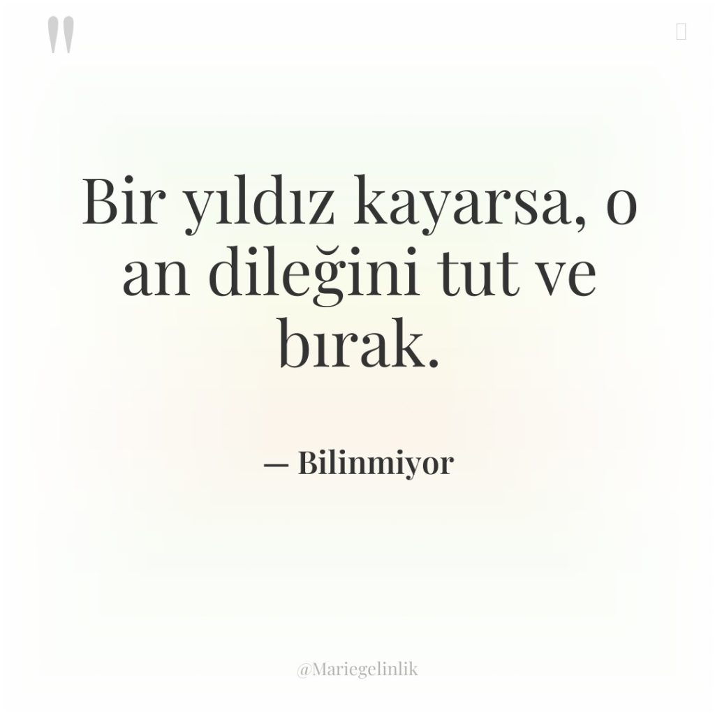 Bir yıldız kayarsa, o an dileğini tut ve bırak.