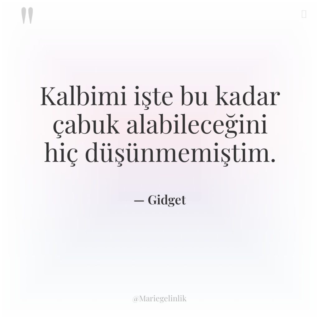 Kalbimi işte bu kadar çabuk alabileceğini hiç düşünmemiştim.
