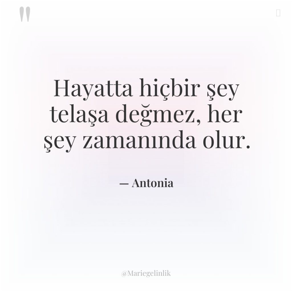 Hayatta hiçbir şey telaşa değmez, her şey zamanında olur.