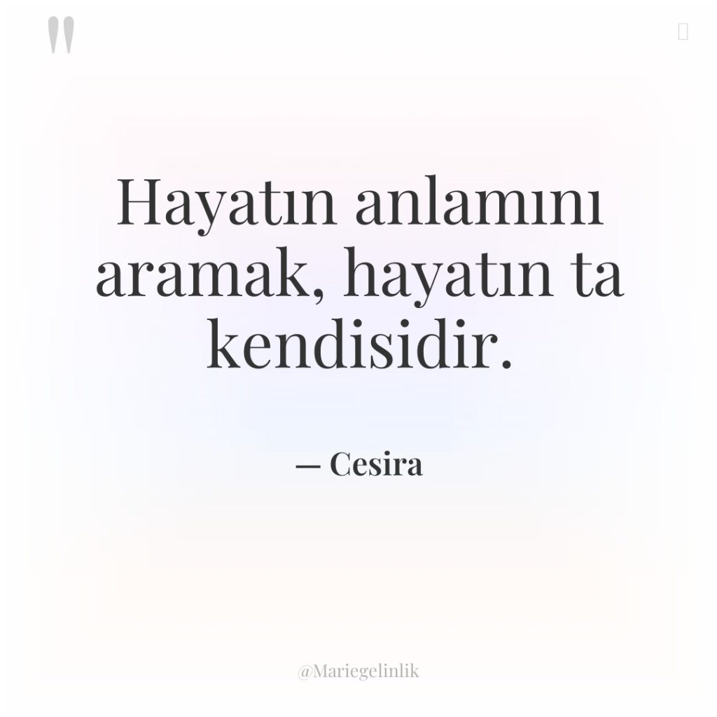 Hayatın anlamını aramak, hayatın ta kendisidir.