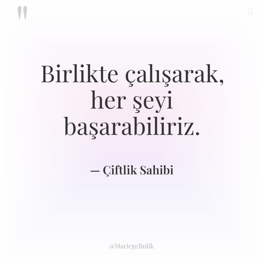Birlikte çalışarak, her şeyi başarabiliriz.