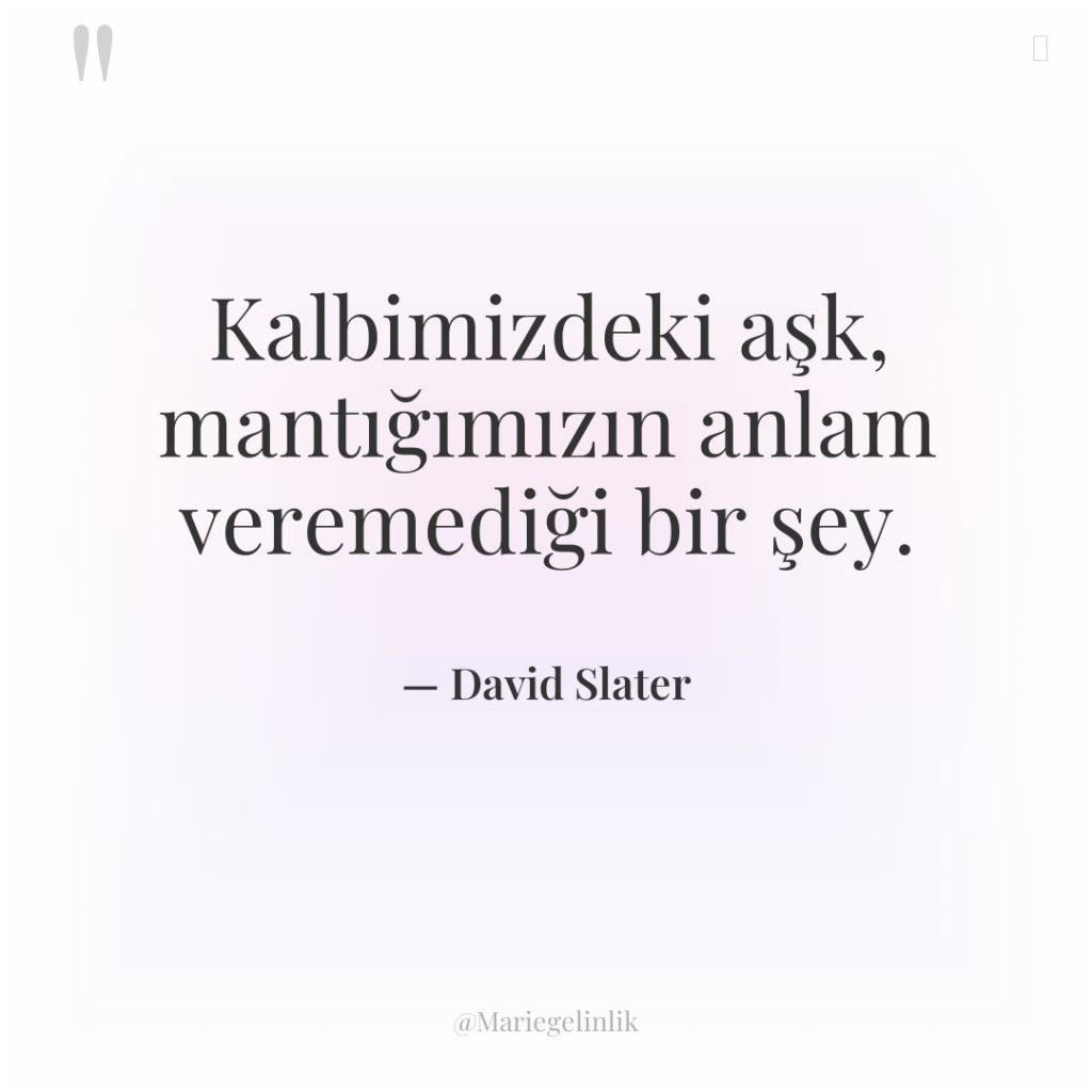 Kalbimizdeki aşk, mantığımızın anlam veremediği bir şey.