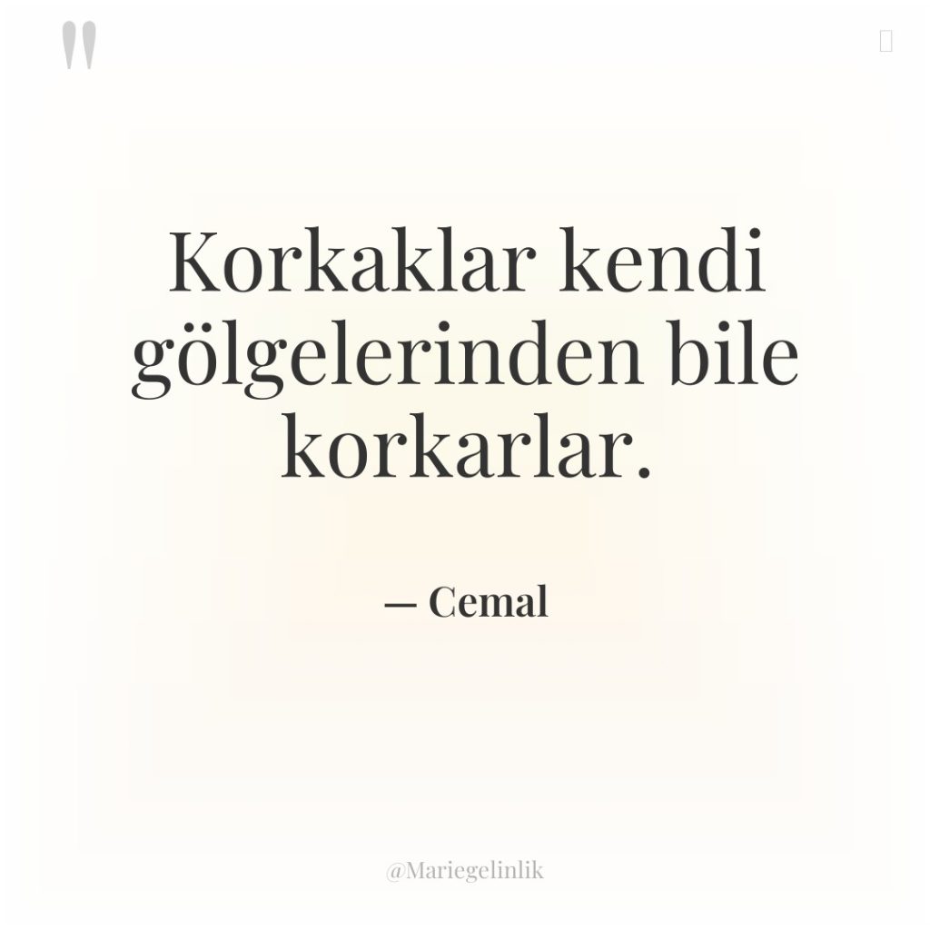 Korkaklar kendi gölgelerinden bile korkarlar.