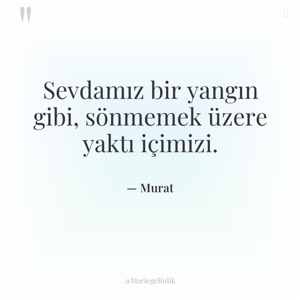 Sevdamız bir yangın gibi, sönmemek üzere yaktı içimizi.